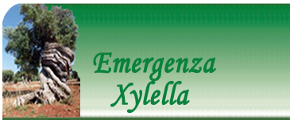 Emergenza Xylella